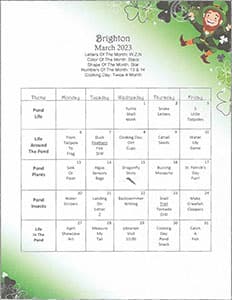 Brighton Activity Calendar March 2023